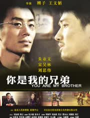 你是我的兄弟