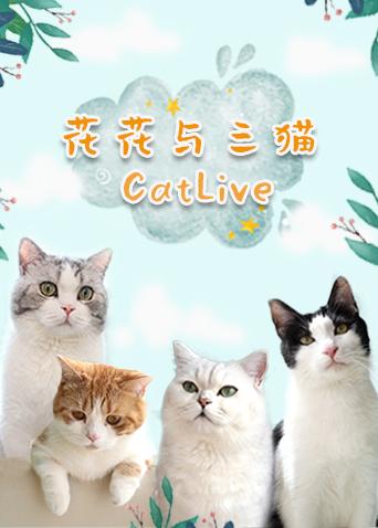 花花与三猫catlive免费观看