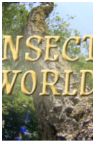昆虫世界