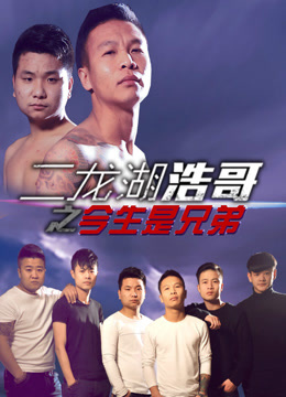 二龙湖浩哥之今生是兄弟
