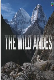 野性安第斯山脉粤语版免费观看