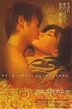 阿尼姆斯阿尼玛HD免费观看