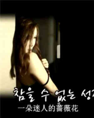 一朵迷人的蔷薇花免费观看