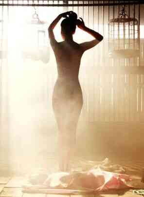 美人图：私情画欲免费观看