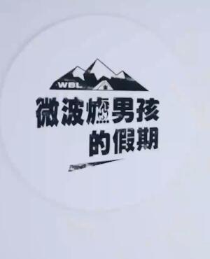 微波炉男孩的假期免费观看