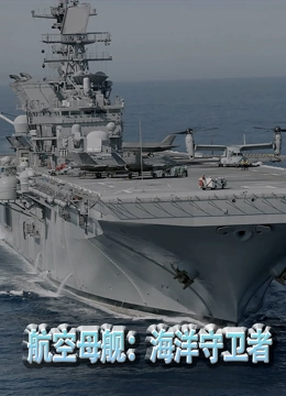 航空母舰：海洋守卫者免费观看