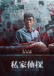 私家侦探 粤语版免费观看