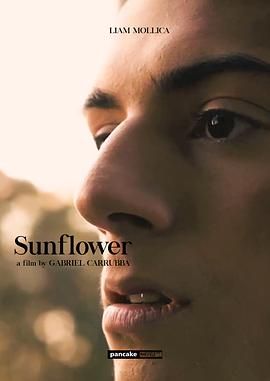 向日葵免费观看