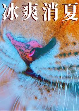 寒冰白血免费观看