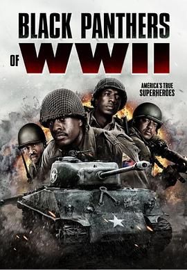 二战黑豹免费观看