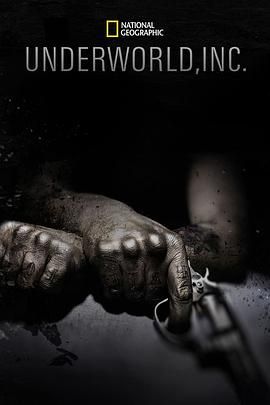 黑市大企业第一季免费观看